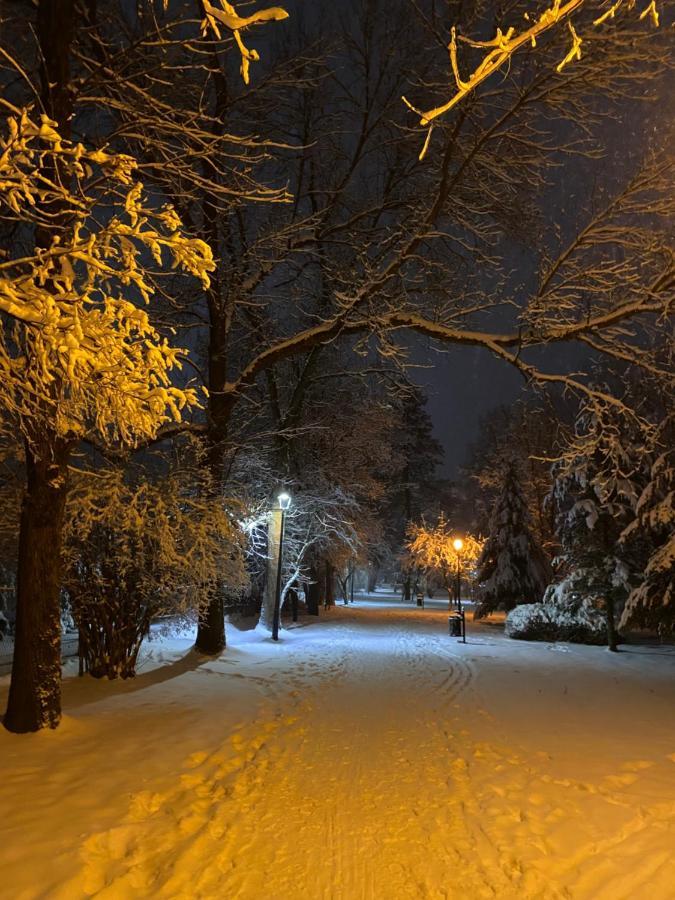 Apartament I Pokoje Goscinne U Lusi Wisła Buitenkant foto