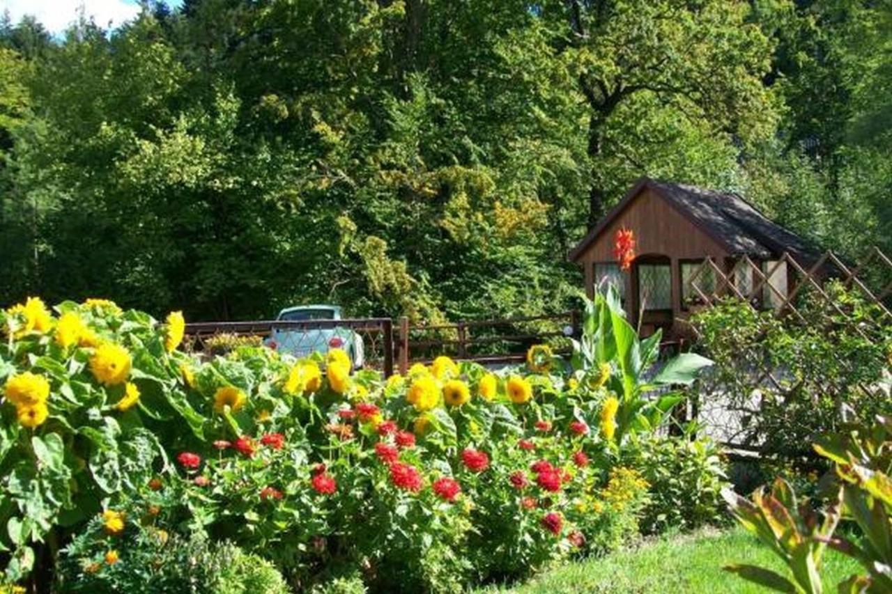 Apartament I Pokoje Goscinne U Lusi Wisła Buitenkant foto