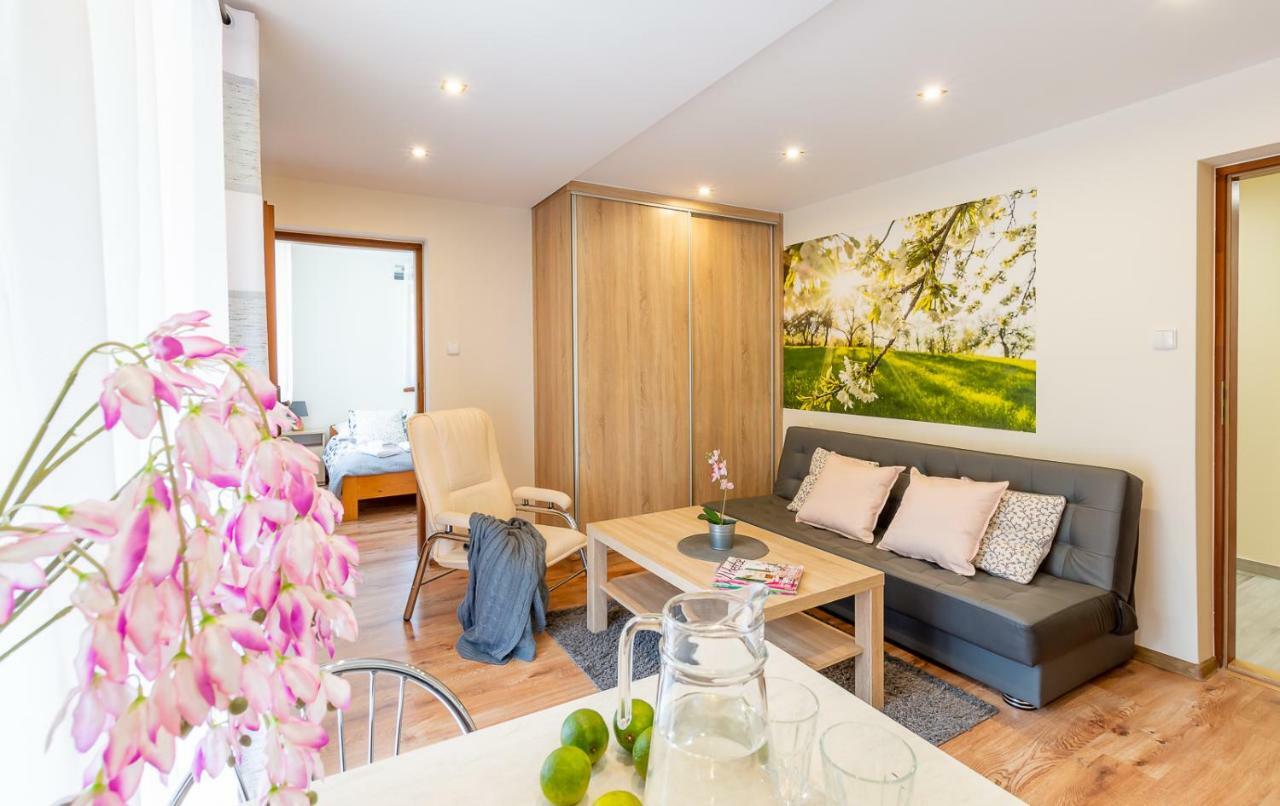 Apartament I Pokoje Goscinne U Lusi Wisła Buitenkant foto