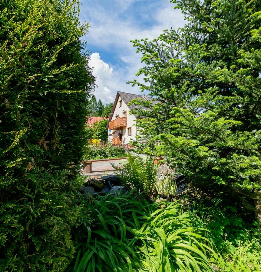 Apartament I Pokoje Goscinne U Lusi Wisła Buitenkant foto